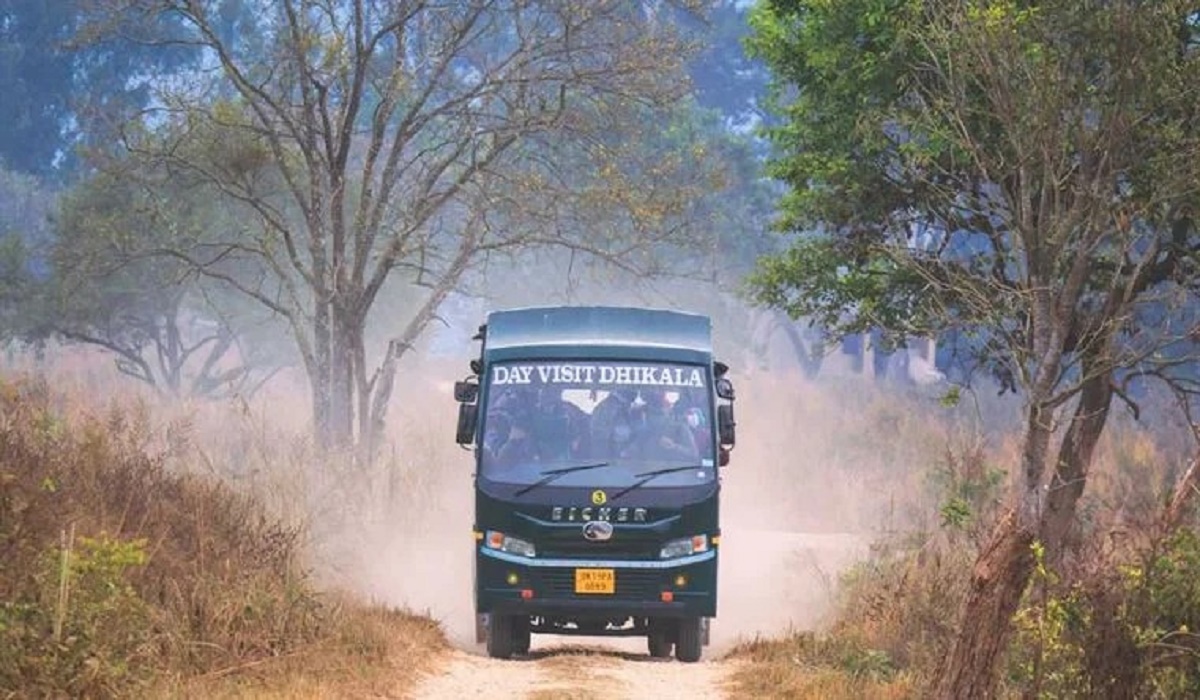 A canter safari vehicle in a forest clearing